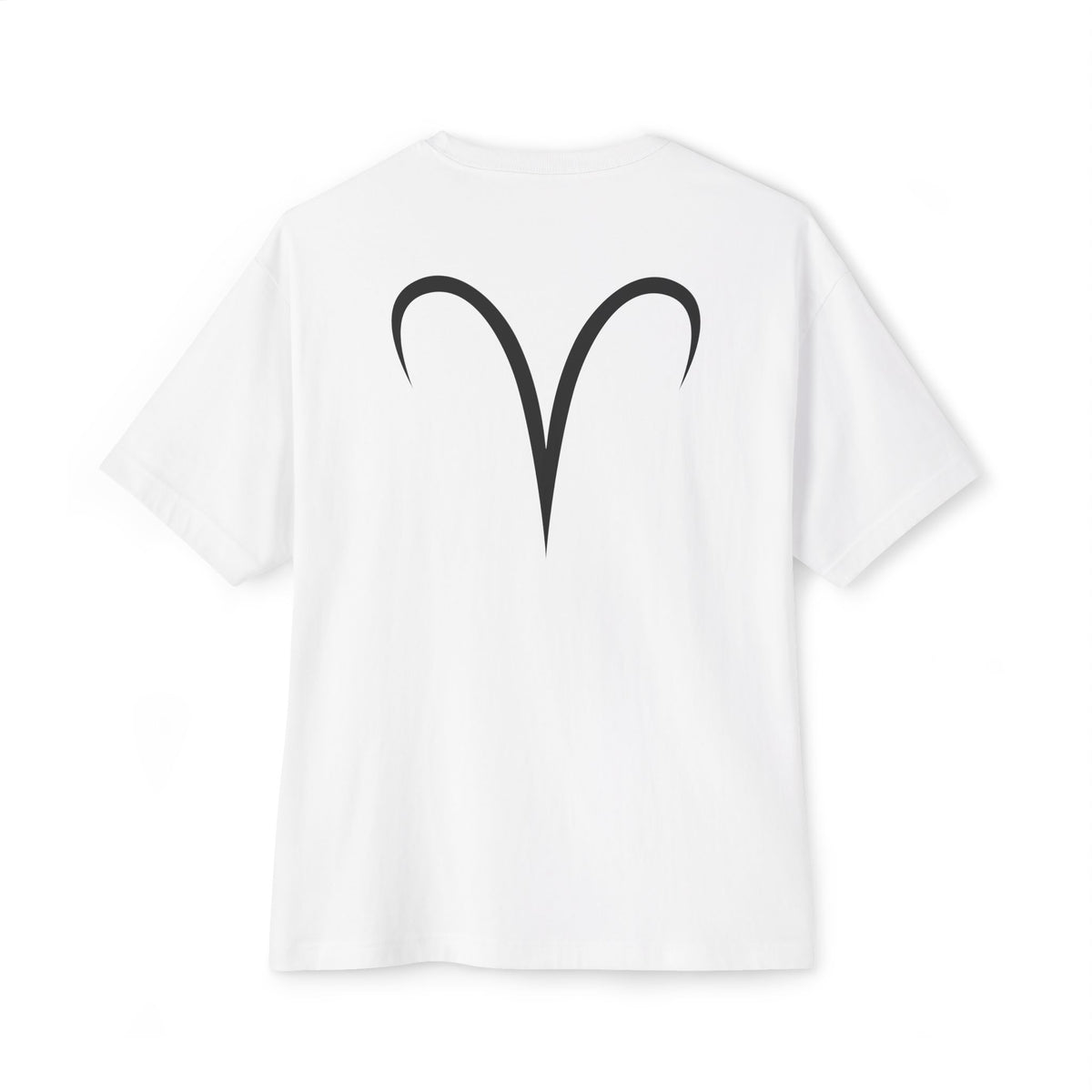 Aries Oversized T-Shirt