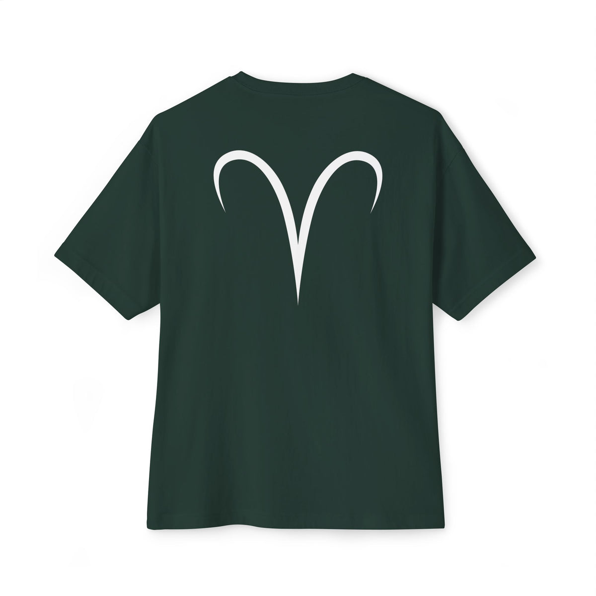 Aries Oversized T-Shirt